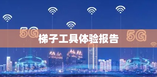 梯子工具体验报告 梯子工具体验报告