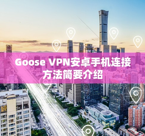 Goose VPN安卓手机连接方法简要介绍 Goose VPN安卓手机连接方法简要介绍