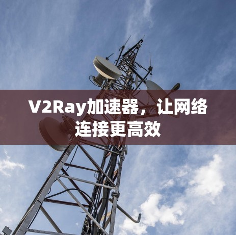 V2Ray加速器,让网络连接更高效 V2Ray加速器,让网络连接更高效