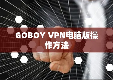 GOBOY VPN电脑版操作方法 GOBOY VPN电脑版操作方法