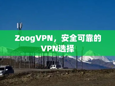 ZoogVPN,安全可靠的VPN选择 ZoogVPN,安全可靠的VPN选择
