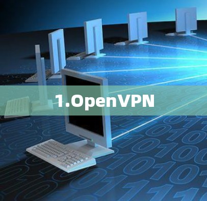 1.OpenVPN 1.OpenVPN