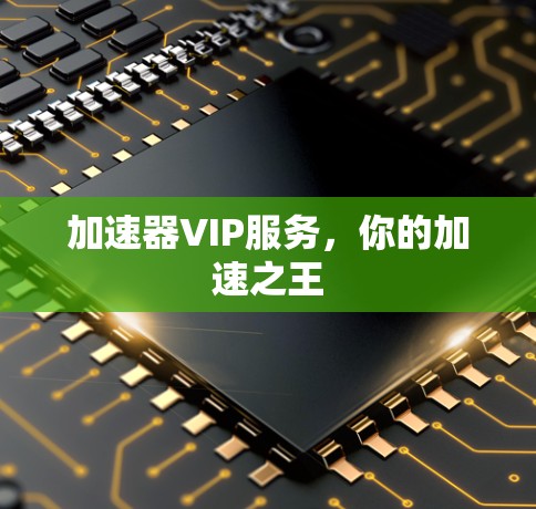 加速器VIP服务,你的加速之王 加速器VIP服务,你的加速之王