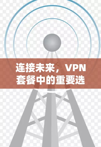 连接未来,VPN套餐中的重要选择 连接未来,VPN套餐中的重要选择