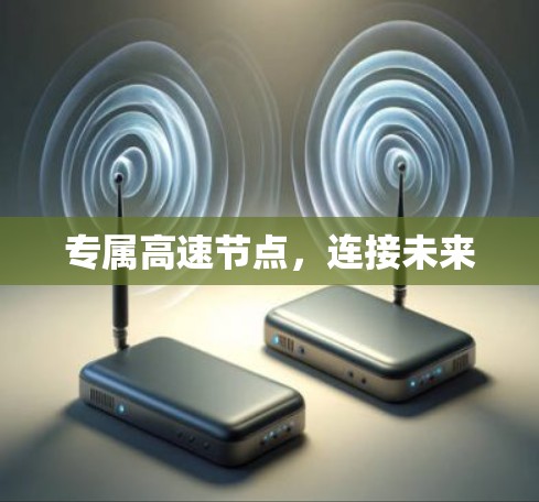 专属高速节点,连接未来 专属高速节点,连接未来