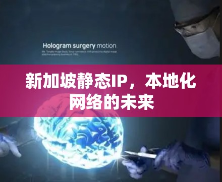 新加坡静态IP,本地化网络的未来 新加坡静态IP,本地化网络的未来