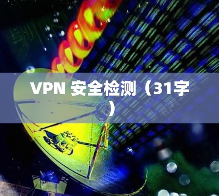 VPN 安全检测(31字) VPN 安全检测(31字)
