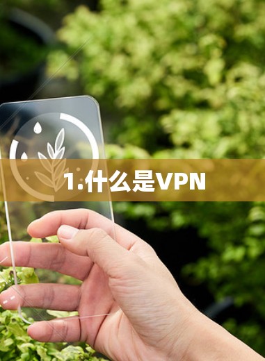 1.什么是VPN 1.什么是VPN