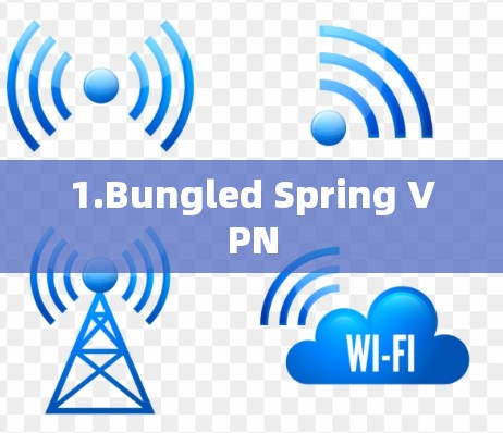 1.Bungled Spring VPN 1.Bungled Spring VPN