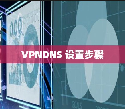VPNDNS 设置步骤 VPNDNS 设置步骤