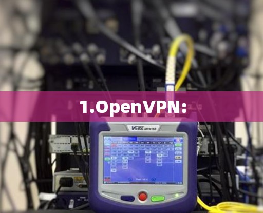 1.OpenVPN: 1.OpenVPN:
