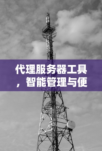 代理服务器工具,智能管理与便捷服务 代理服务器工具,智能管理与便捷服务