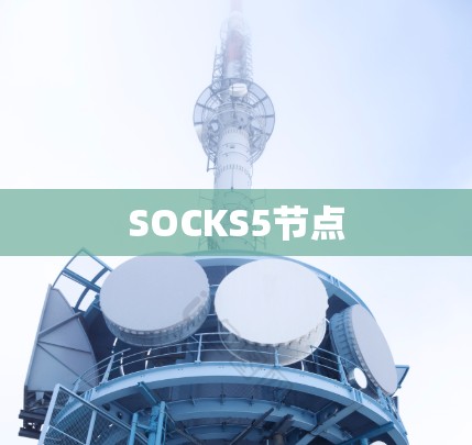SOCKS5节点 SOCKS5节点