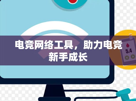 电竞网络工具,助力电竞新手成长 电竞网络工具,助力电竞新手成长