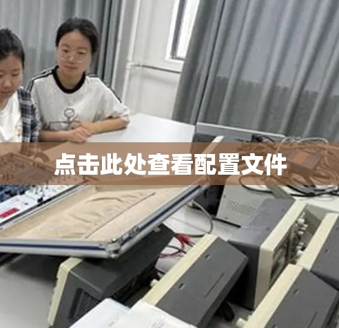 点击此处查看配置文件 点击此处查看配置文件
