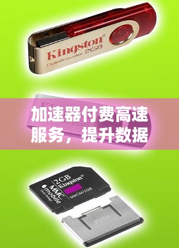 加速器付费高速服务,提升数据传输效率的全新解决方案 加速器付费高速服务,提升数据传输效率的全新解决方案