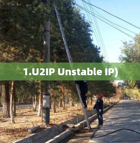 1.U2IP Unstable IP) 1.U2IP Unstable IP)