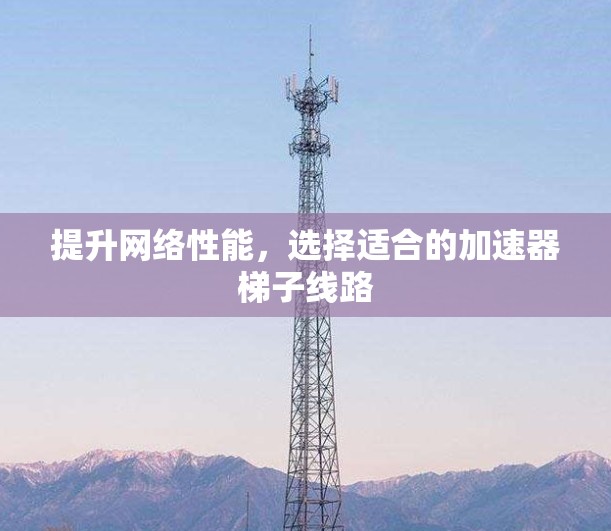 提升网络性能,选择适合的加速器梯子线路 提升网络性能,选择适合的加速器梯子线路