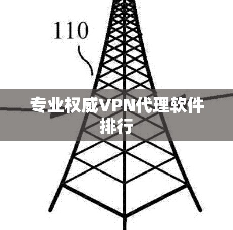 专业权威VPN代理软件排行 专业权威VPN代理软件排行