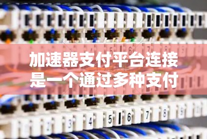 加速器支付平台连接是一个通过多种支付方式实现快速转账和支付的平台。以下是对加速器支付平台连接的详细说明 加速器支付平台连接是一个通过多种支付方式实现快速转账和支付的平台。以下是对加速器支付平台连接的详细说明