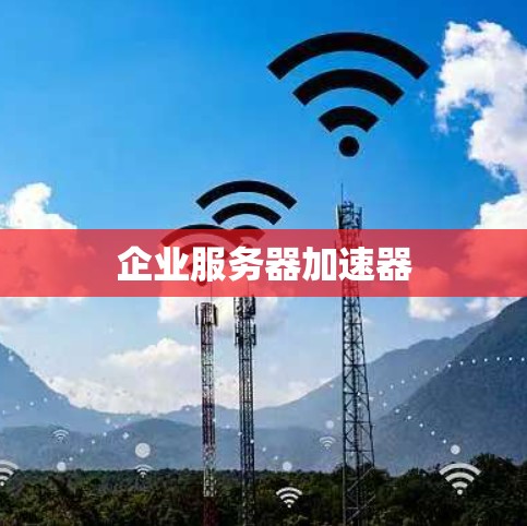 企业服务器加速器 企业服务器加速器