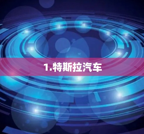 1.特斯拉汽车 1.特斯拉汽车