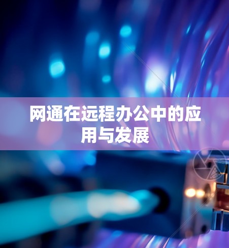 网通在远程办公中的应用与发展 网通在远程办公中的应用与发展