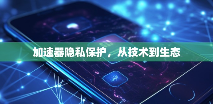 加速器隐私保护，从技术到生态