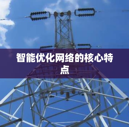 智能优化网络的核心特点
